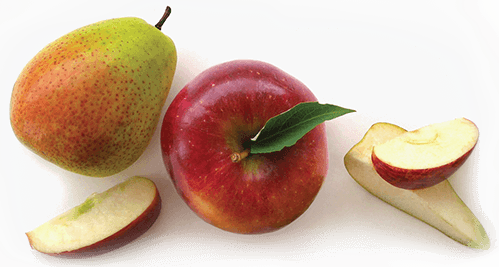 Organic-Apple-Snacks